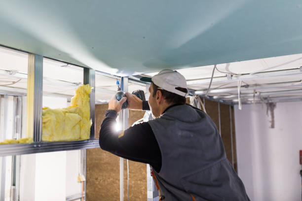 Best Cellulose Insulation in Fort Dodge, IA