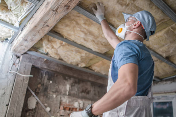 Best DIY Insulation Kits and Guidance in Fort Dodge, IA
