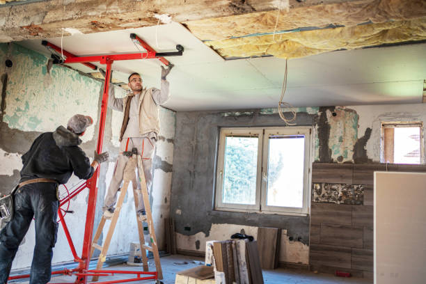 Best Eco-Friendly Insulation in Fort Dodge, IA
